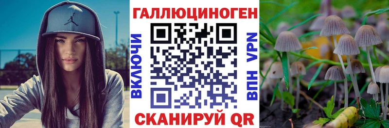 Галлюциногенные грибы Cubensis Верхоянск